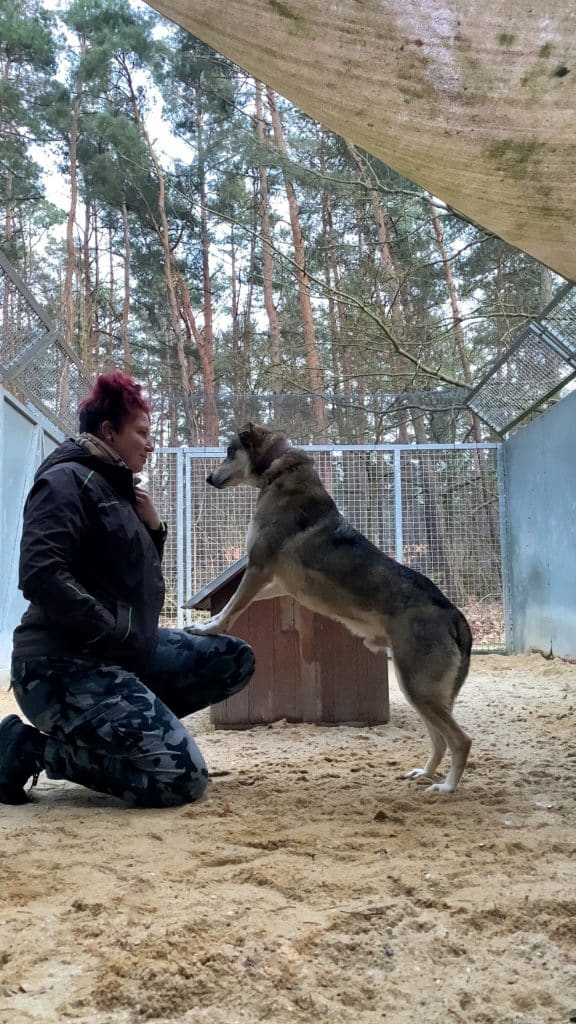 Tierisch nachgefragter Beruf!